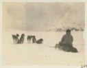 Image of Annie on a skin sledge at stern of the Bowdoin